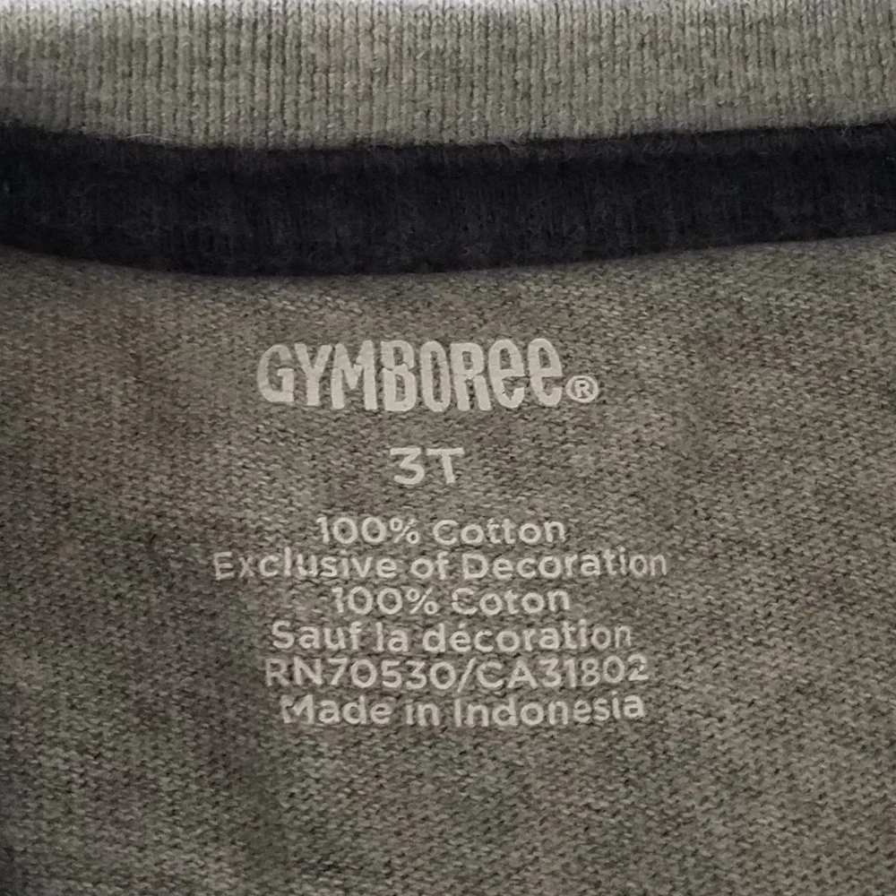 Gymboree Dog Fort Castle Knight Long Sleeve Shirt 3T